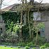 Kliknij by wejść http://images75.fotosik.pl/44/7e7fc7005427871emm.jpg