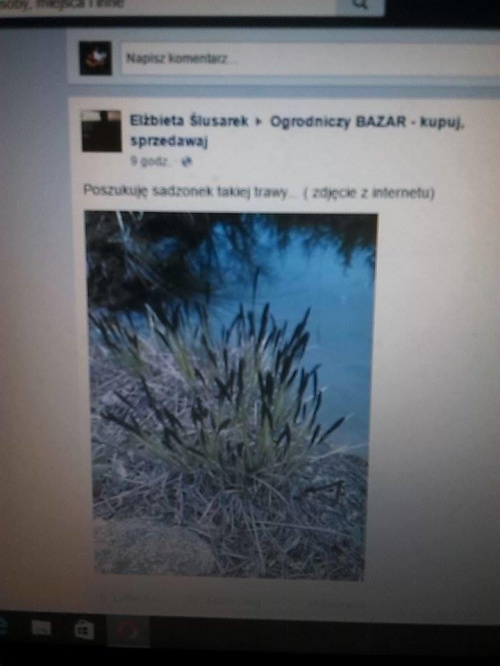Obrazek