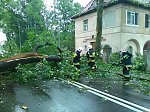 Kliknij by wejść http://images75.fotosik.pl/803/8fe6fe3e6e5c198bm.jpg