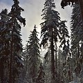 Park Narodowy Gór Stołowych - wejście na Szczeliniec