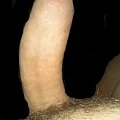 Penis(17 lat, 15 cm) Piszcie, komentujcie, oceniajcie