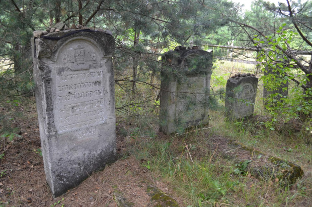 Cmentarz zydowski